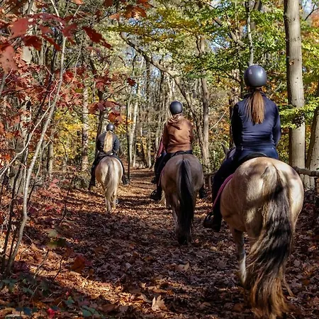Vakantiehuis Bos en Natuur, nabij Breda VP069 Vakantiehuis *